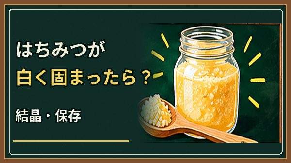 はちみつが白く固まったら食べられる？結晶の戻し方と正しい保存方法